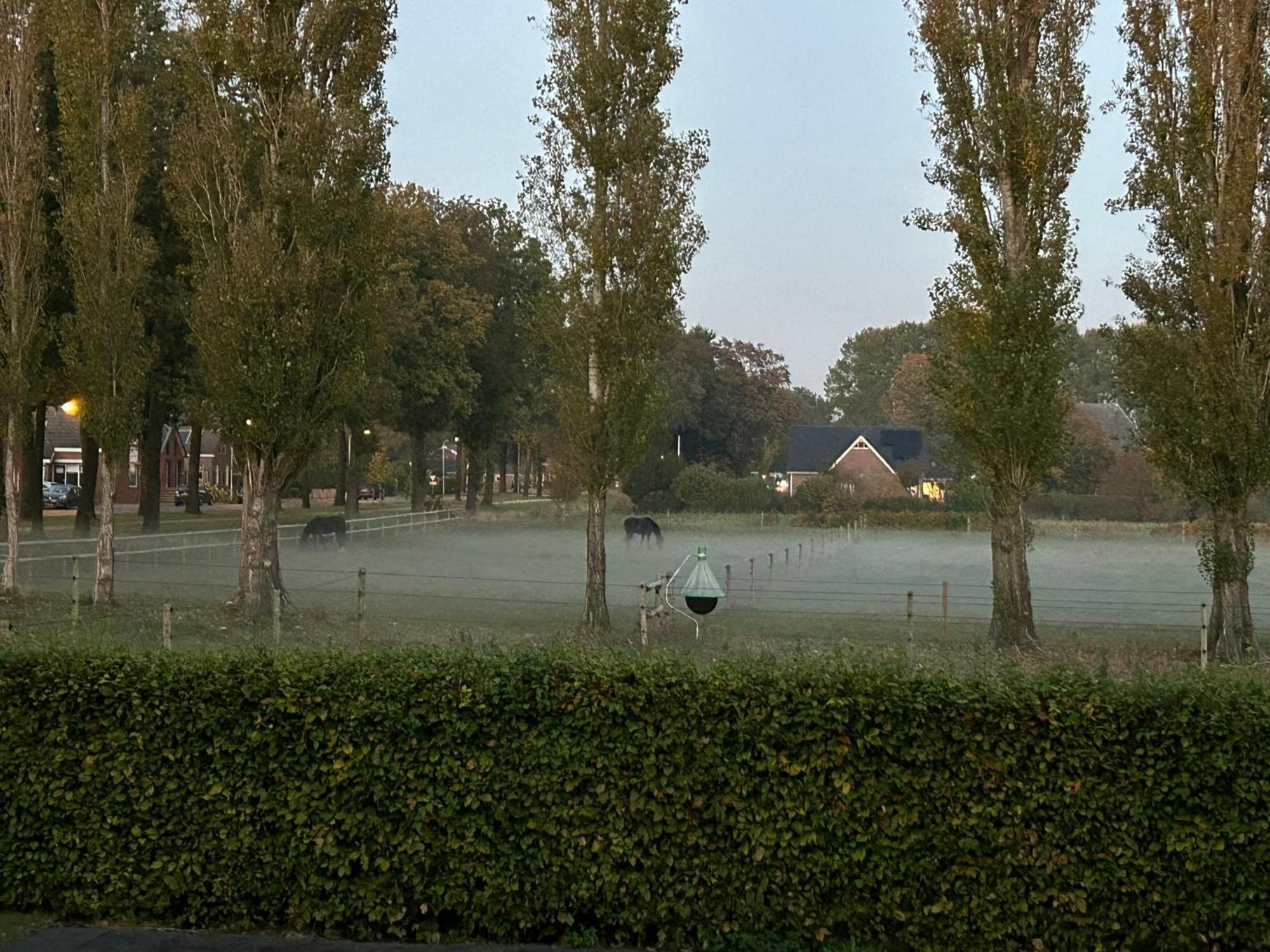 De Cordobahoeve Tweede Exloermond ภายนอก รูปภาพ