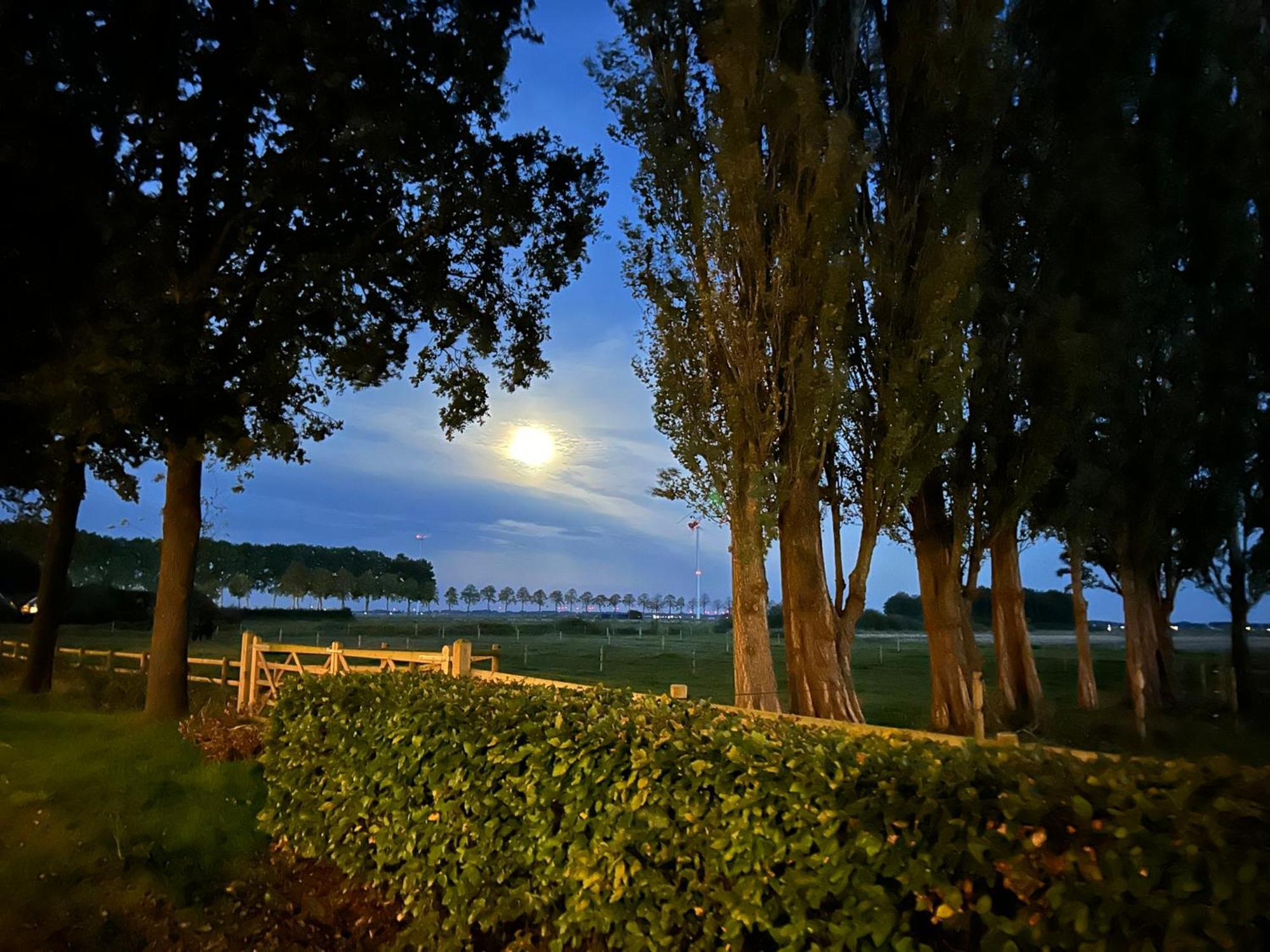 De Cordobahoeve Tweede Exloermond ภายนอก รูปภาพ
