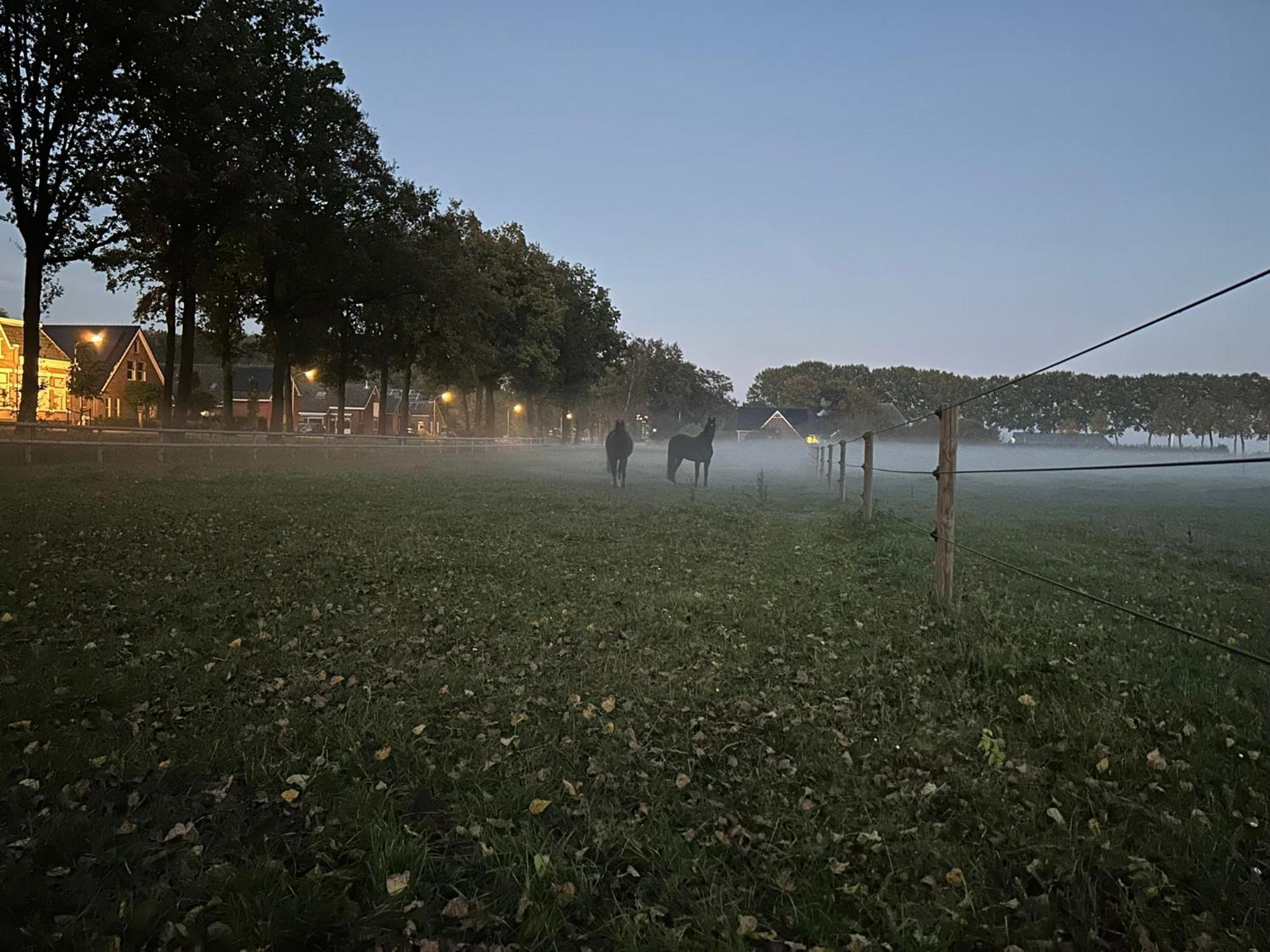 De Cordobahoeve Tweede Exloermond ภายนอก รูปภาพ