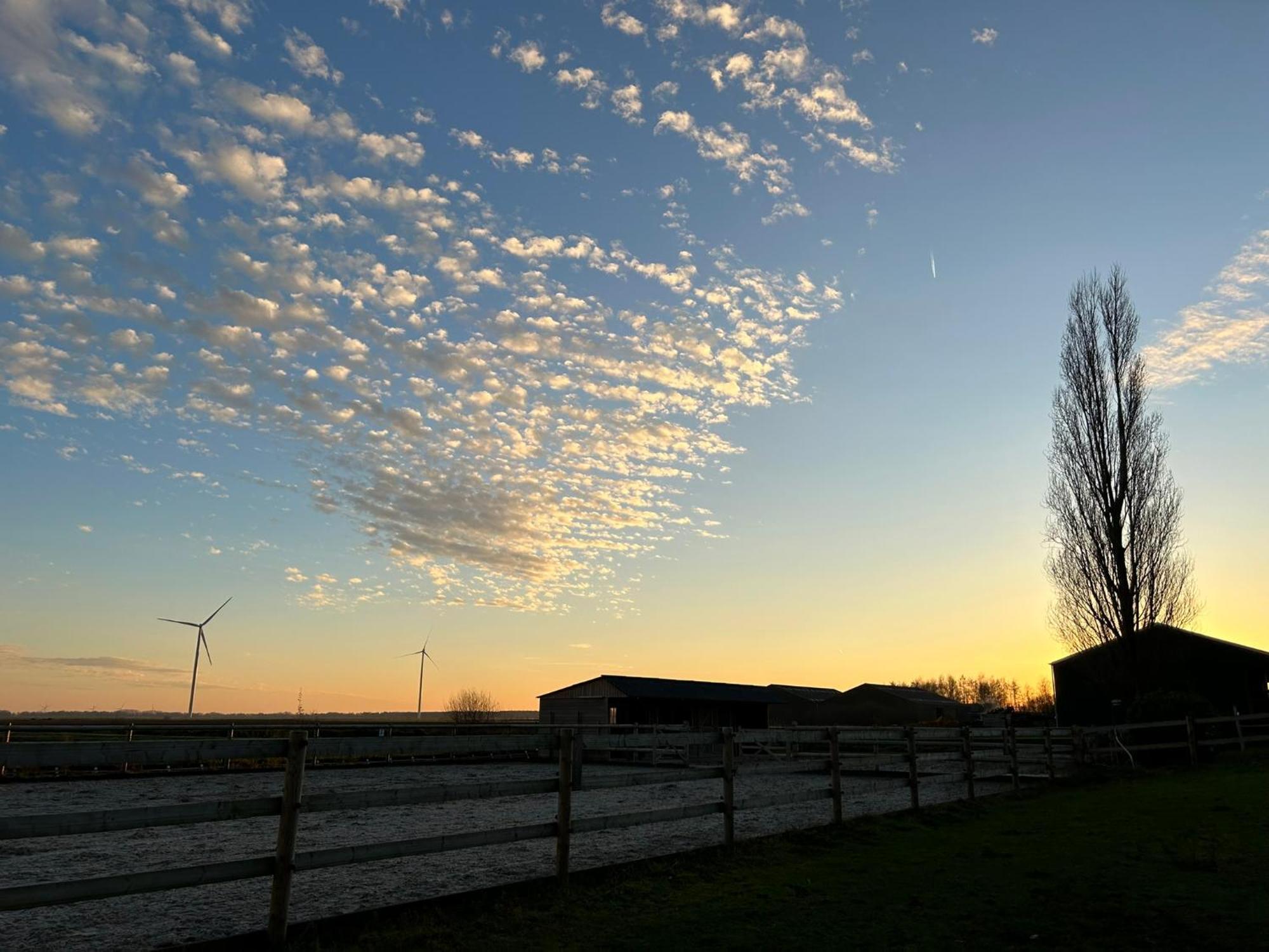 De Cordobahoeve Tweede Exloermond ภายนอก รูปภาพ