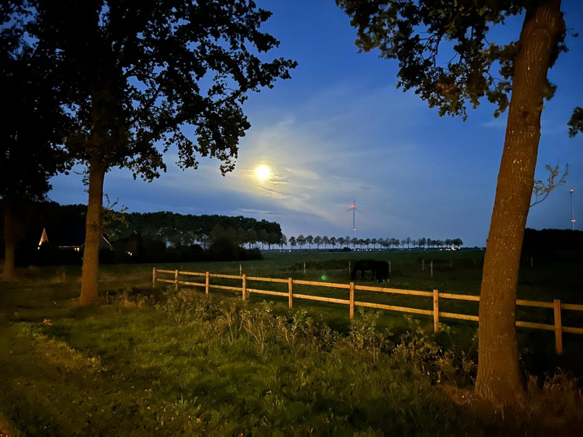 De Cordobahoeve Tweede Exloermond ภายนอก รูปภาพ